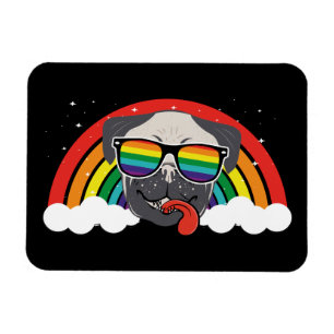 Imán Arcoiris mate