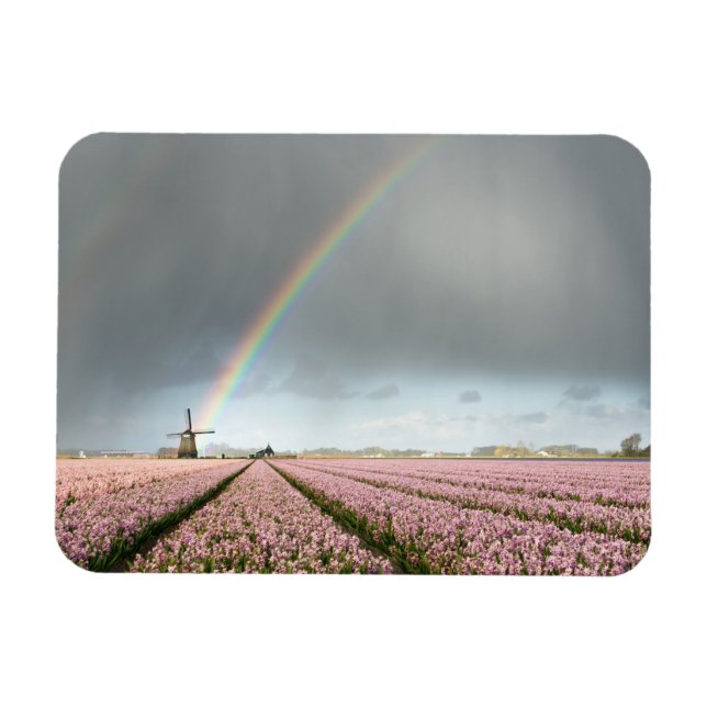 Imán Arcoiris sobre jacintos y molino de viento en Hola (Horizontal)