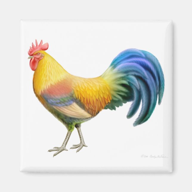 Imán Ardenner Rooster Square Magnet (Frente)