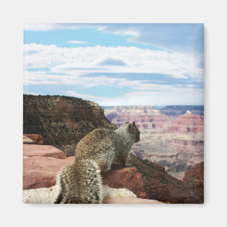 Imán Ardilla con vistas al Gran Cañón, Arizona