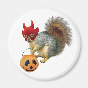 Imán Ardilla de trucos o árboles