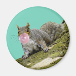 Imán Ardilla que sopla una foto de un animal de burbuja