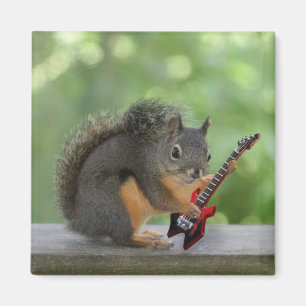 Imán Ardilla que toca la guitarra eléctrica