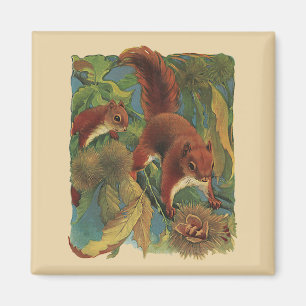 Imán Ardillas Vintage, Criaturas del Bosque, Animales S