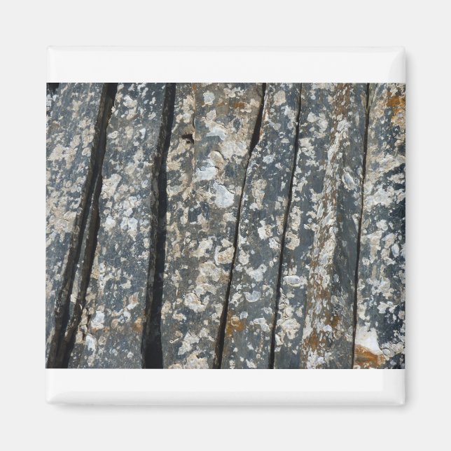 Imán ardosos (Frente)