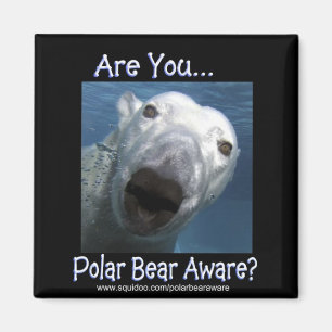 Imán Are_you_polar_bear_aware