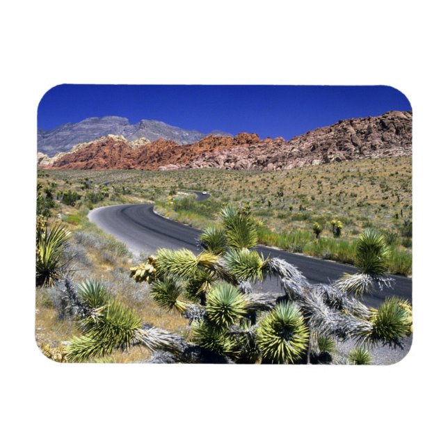 Imán Área de Conservación Nacional del Cañón Rojo, Las (Horizontal)