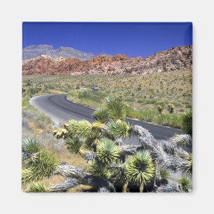 Imán Área de Conservación Nacional Red Rock Canyon, Las