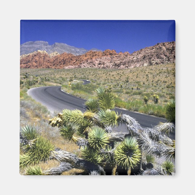 Imán Área de Conservación Nacional Red Rock Canyon, Las (Frente)