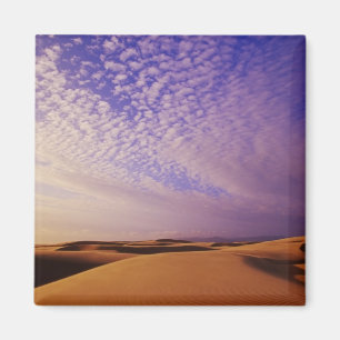 Imán Área Recreativa Nacional de las Dunas de Oregón, O