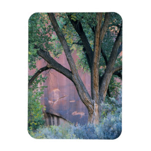 Imán Área Recreativa Nacional Glen Canyon, Utah. EE. UU