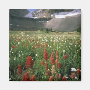 IMÁN ÁREA VIRGEN DE MOUNT TIMPANOGOS, UT, EE. UU.,