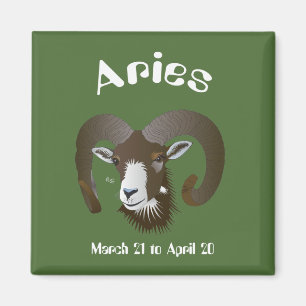 Imán Aries 21 de marzo al 20 de abril