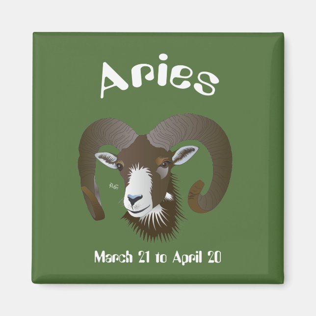 Imán Aries 21 de marzo al 20 de abril (Frente)