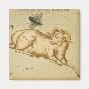 Imán Aries Magnet
