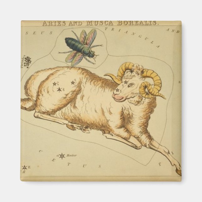 Imán Aries Magnet (Frente)