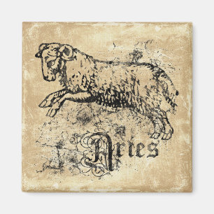 Imán Aries Zodiaco vintado