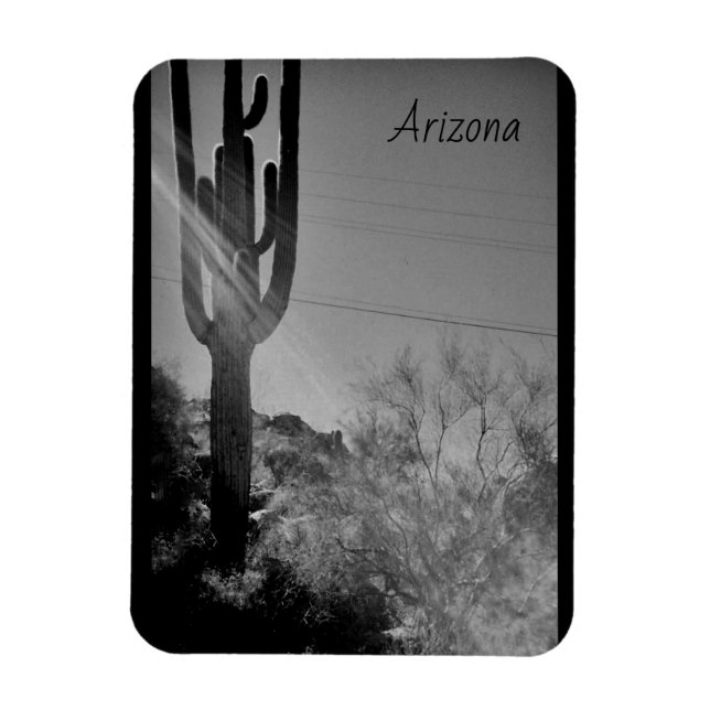 Imán Arizona (Vertical)