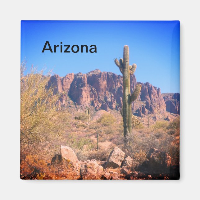 Imán Arizona Lone Cactus (Frente)
