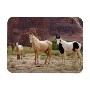 Imán Arizona, Reserva de indios navajos, Chinle,