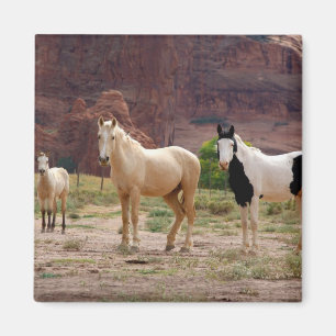 Imán Arizona, Reserva de indios navajos, Chinle,