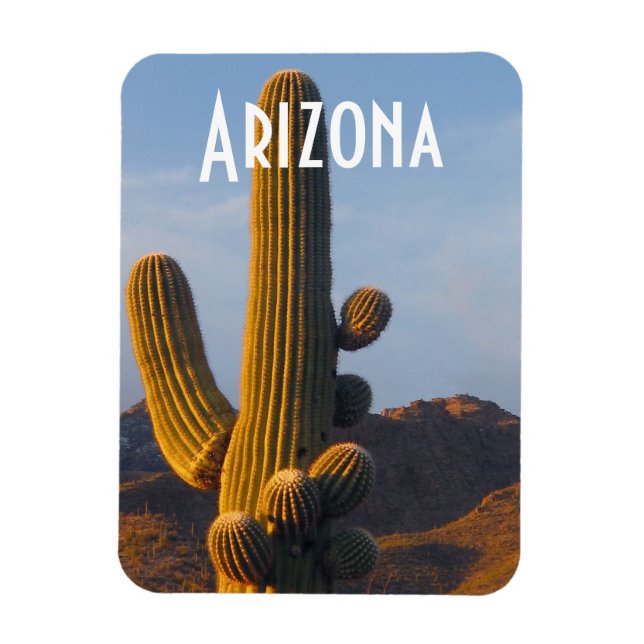 Imán Arizona Sunlit Saguaro (Vertical)