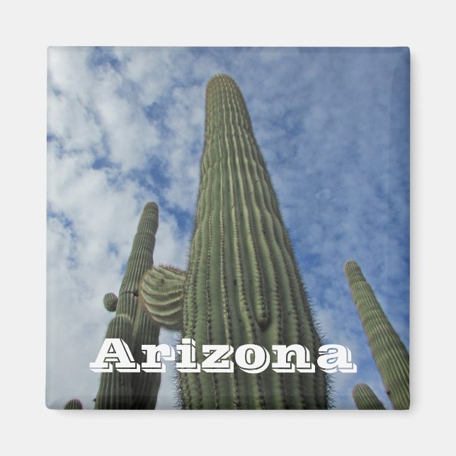 Imán Arizona Suroeste Cacti Blue Sky Saguaro Cactus (Frente)