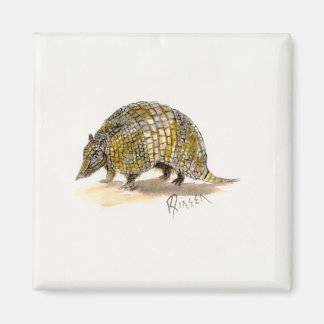 Imán Armadillo