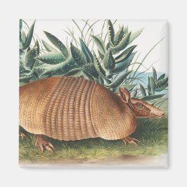 Imán Armadillo dorado beige de nueve bandas