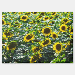 Imán - Armonía de Campo de Girasoles