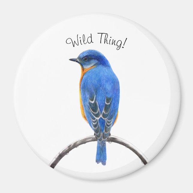 Imán Aroma (Frente)