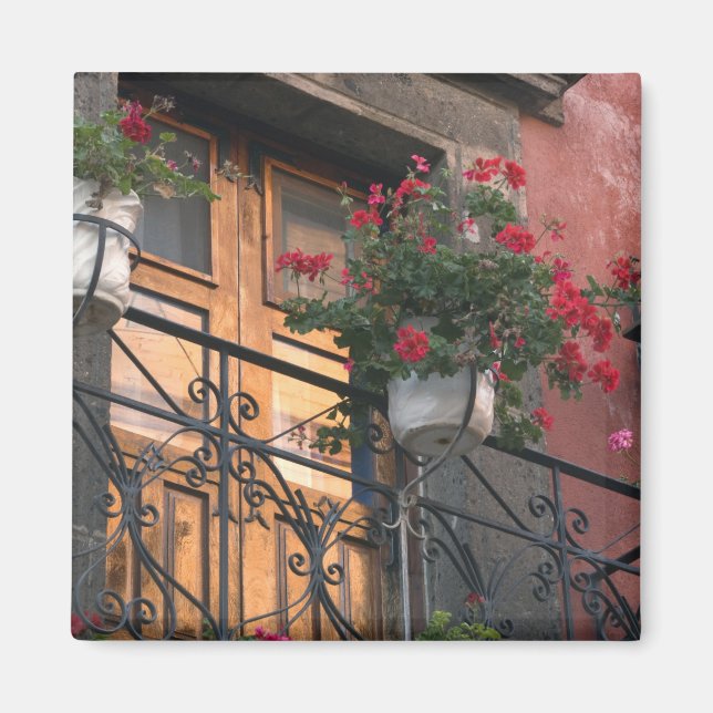 Imán Arquitectura en las calles de San Miguel de (Frente)