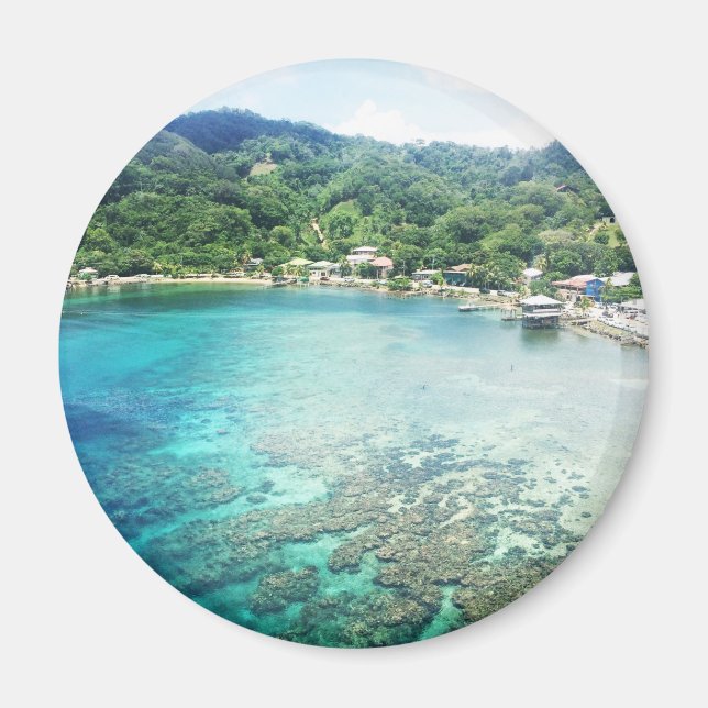 Imán Arrecife de coral de Gran Caimán (Frente)