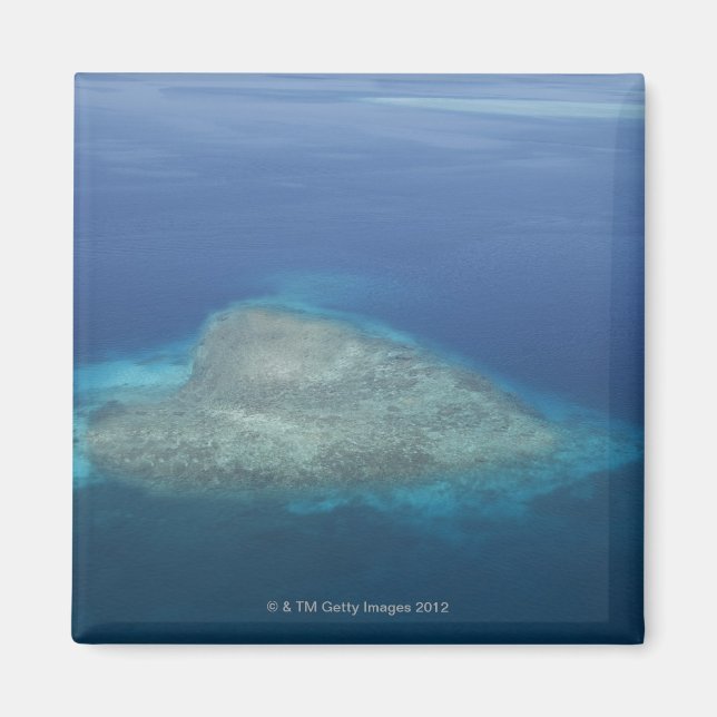 Imán Arrecife de coral en forma de corazón (Frente)