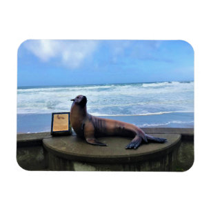 Imán Arrecife de Nelscott, Lincoln City, Oregón