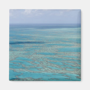 Imán Arrecife tropical, Gran Barrera de Coral, Queensla