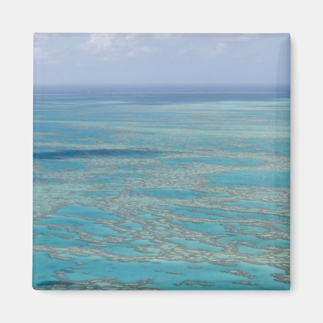Imán Arrecife tropical, Gran Barrera de Coral, Queensla (Frente)