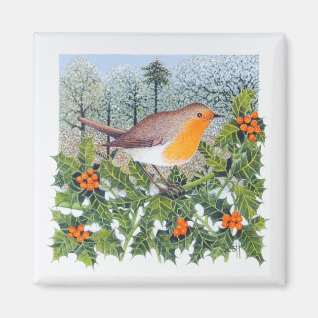 Imán Arredor (Frente)