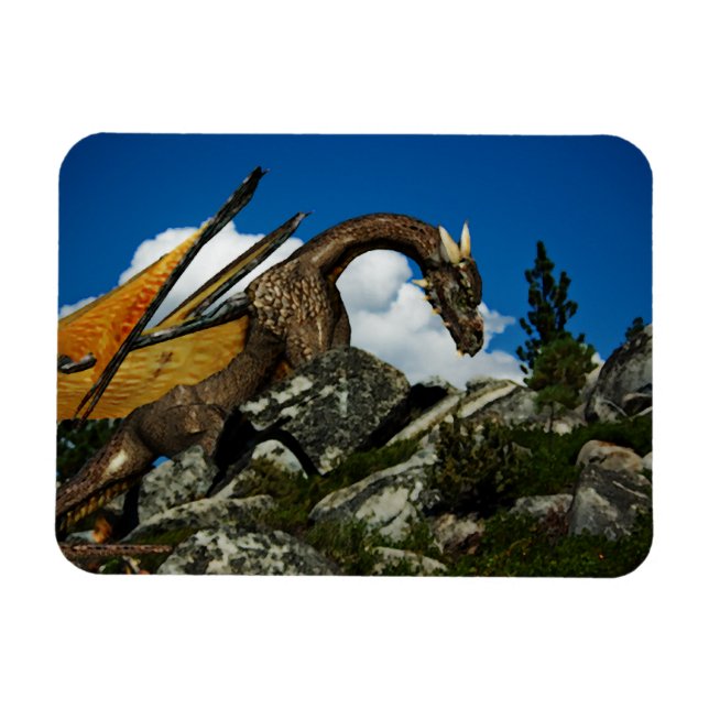 Imán Arriba del Vinyl Magnet (Horizontal)