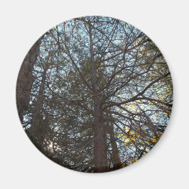 Imán Arriba por las ramas