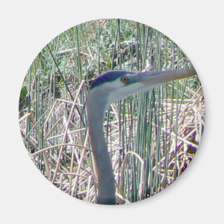 Imán Arriba y cerca y personal