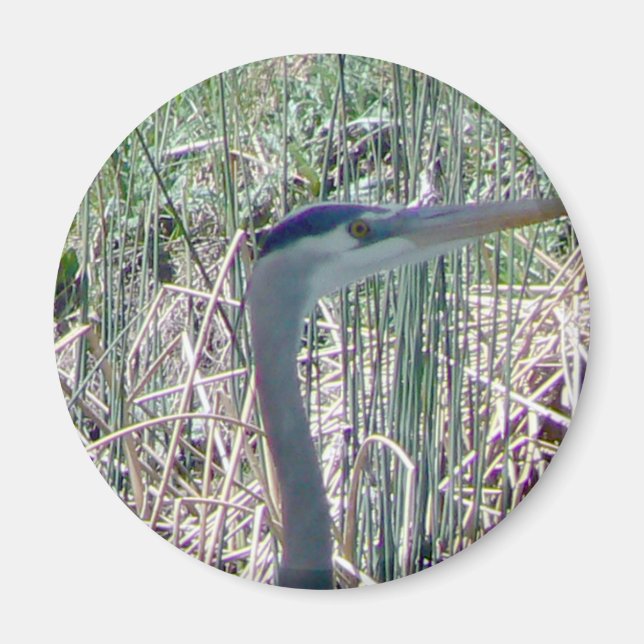 Imán Arriba y cerca y personal (Frente)