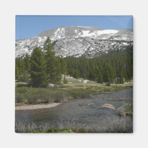Imán Arroyo de Montaña de High Country II en Yosemite