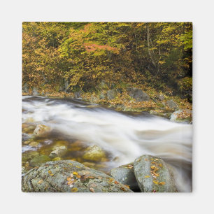 Imán Arroyo Rugiente en otoño en el Verde de Vermont