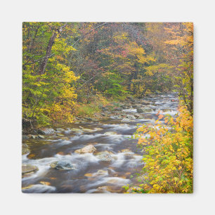 Imán Arroyo Rugiente en otoño en Green 2 de Vermont
