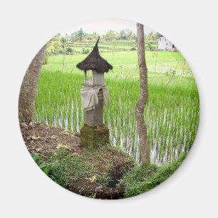 Imán Arroz de arroz, templo, Ubud Bali, Indonesia