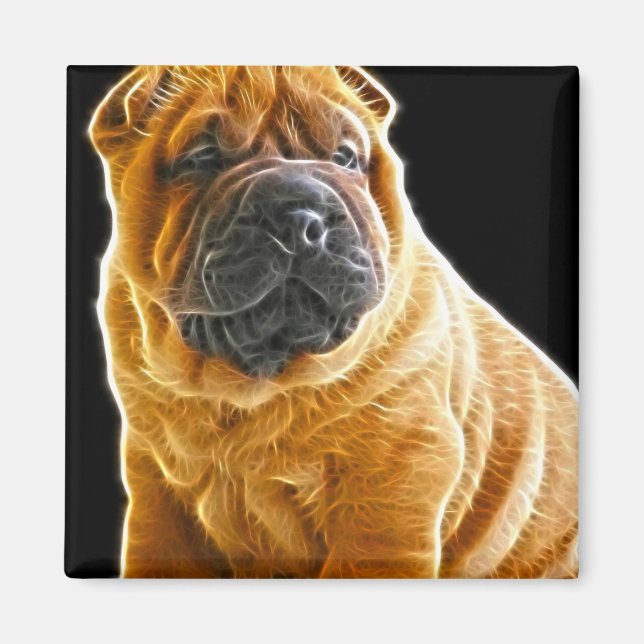 Imán Arrugas, el perro cómico chino Shar Pei (Frente)