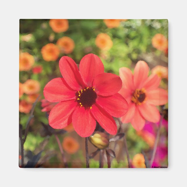 Imán ArtbyLina 66 (Frente)