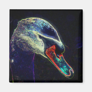 Imán Arte abstracto de la naturaleza del cisne regio