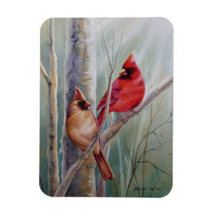 Imán Arte acuarela del par de pájaros rojo cardenal nor